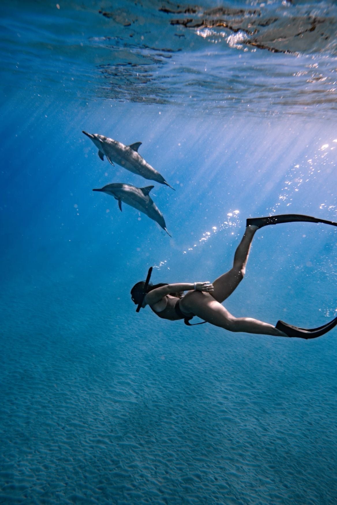 🐬 Free diving