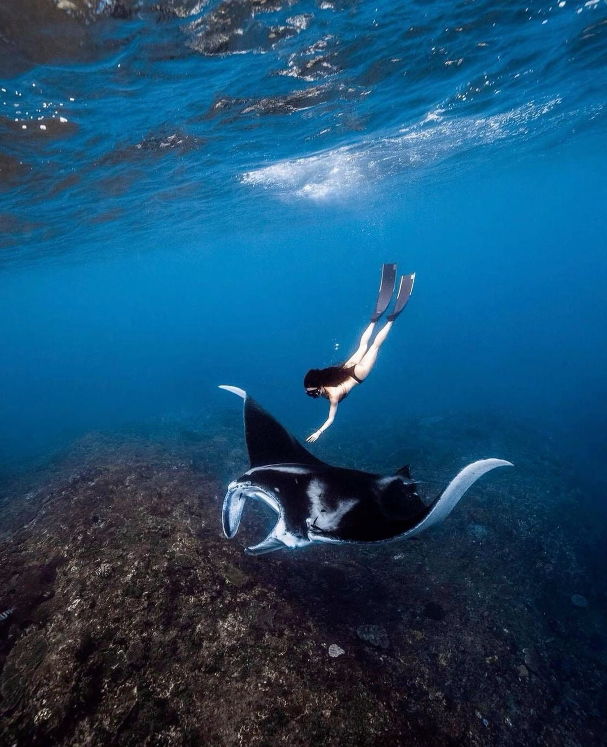 Underwater moment captured with SnorkCam